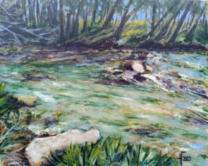 Agua viva 40×50